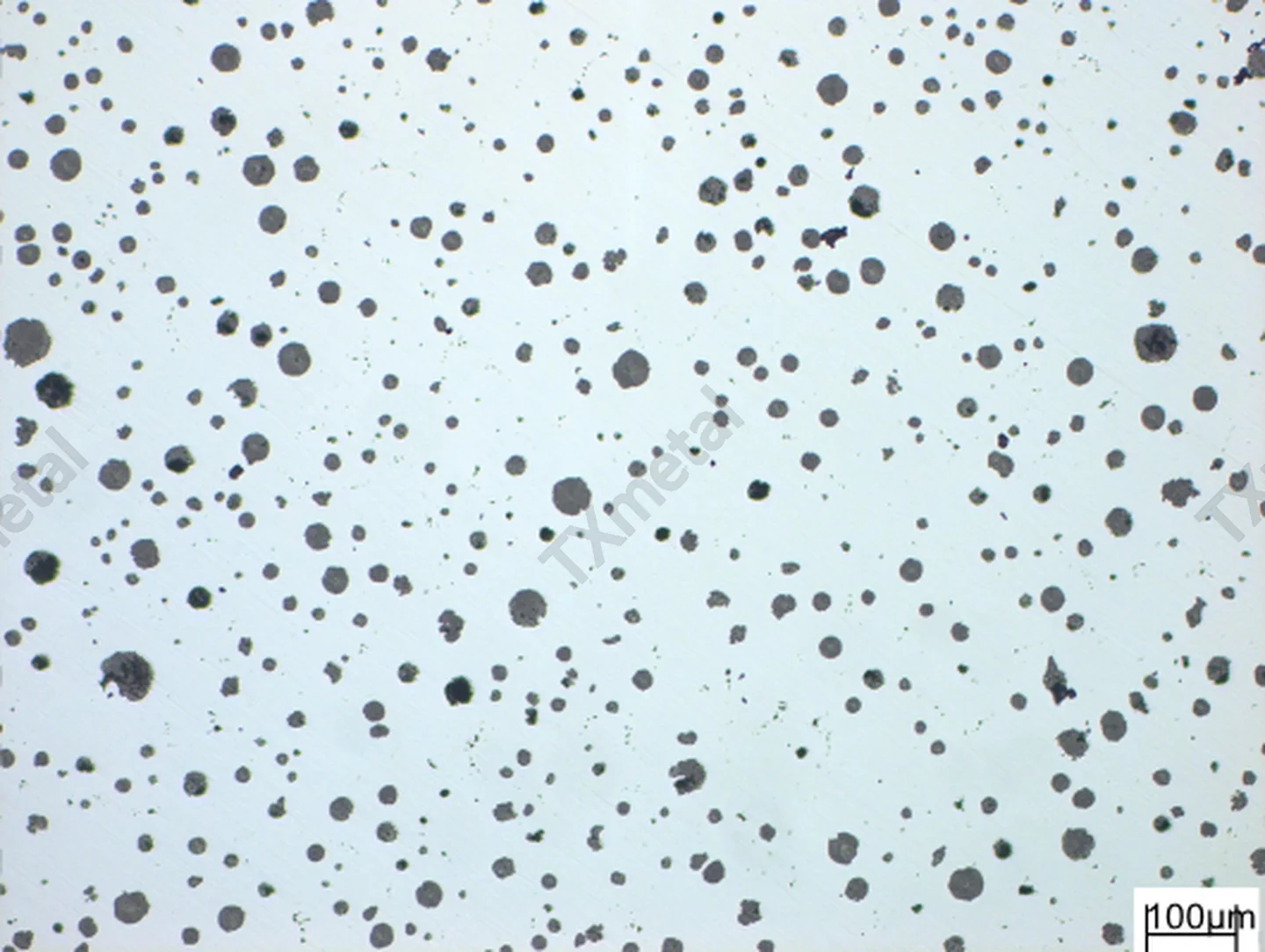 Microstructure of ductile iron showing nodular graphite particles in metallographic analysis.