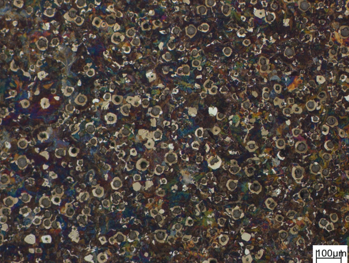 Microstructure of Austempered Ductile Iron (ADI) showing ausferritic matrix with nodular graphite.